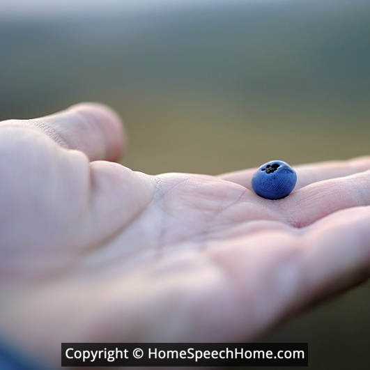 L Word Flashcard Perfect for Speech Therapy Practice Description