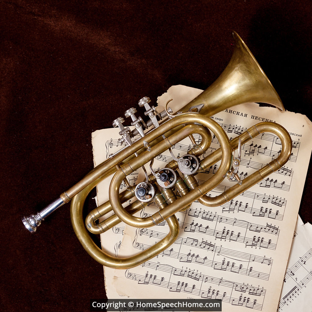 L Word Flashcard Perfect for Speech Therapy Practice Description