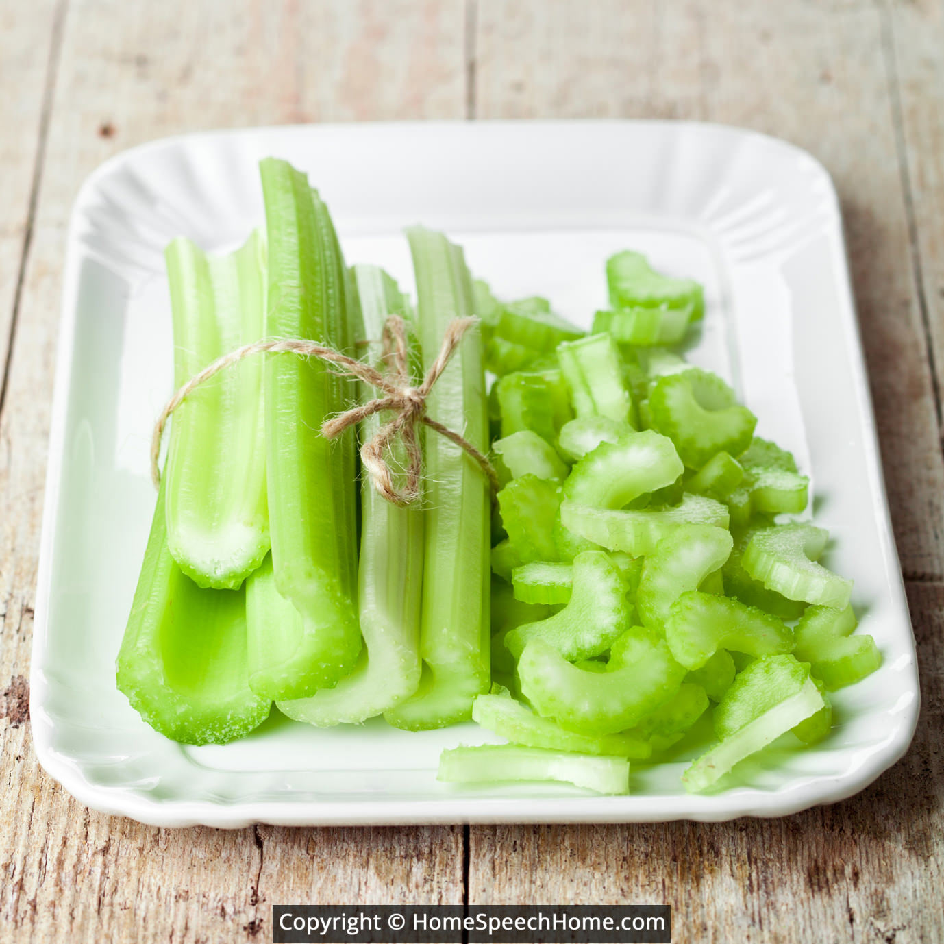 L Word Flashcard Perfect for Speech Therapy Practice Description