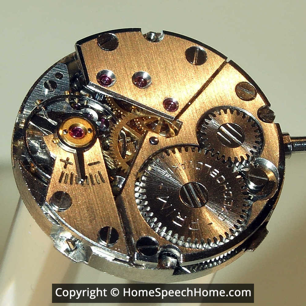 L Word Flashcard Perfect for Speech Therapy Practice Description