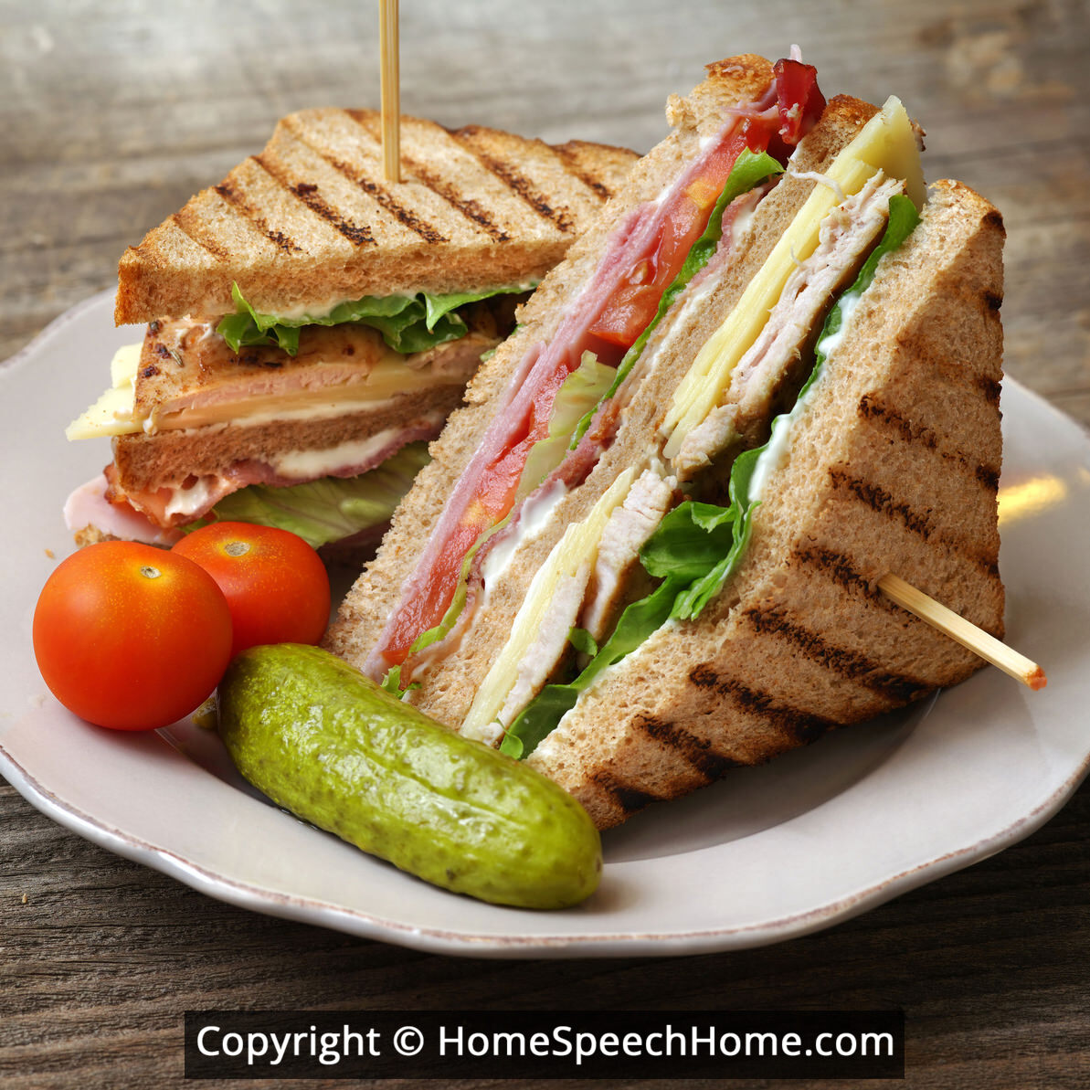 L Word Flashcard Perfect for Speech Therapy Practice Description