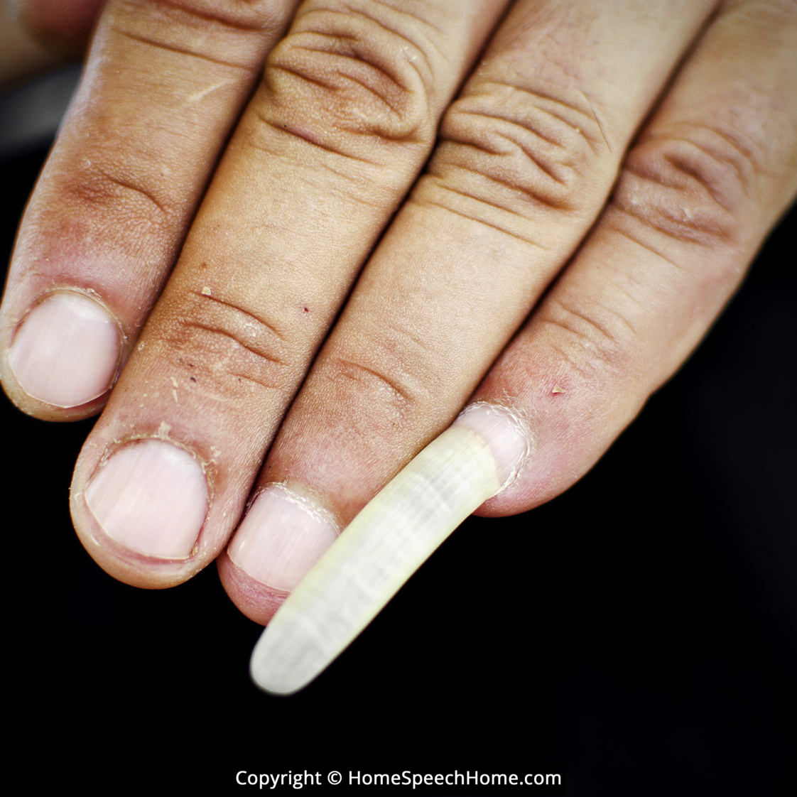 L Word Flashcard Perfect for Speech Therapy Practice Description