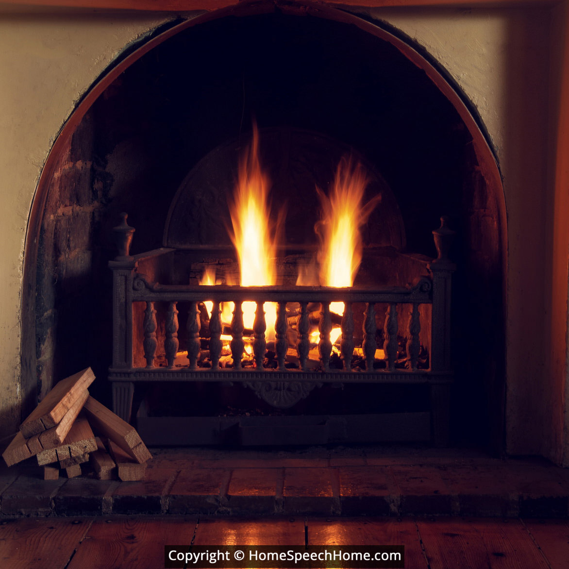 L Word Flashcard Perfect for Speech Therapy Practice