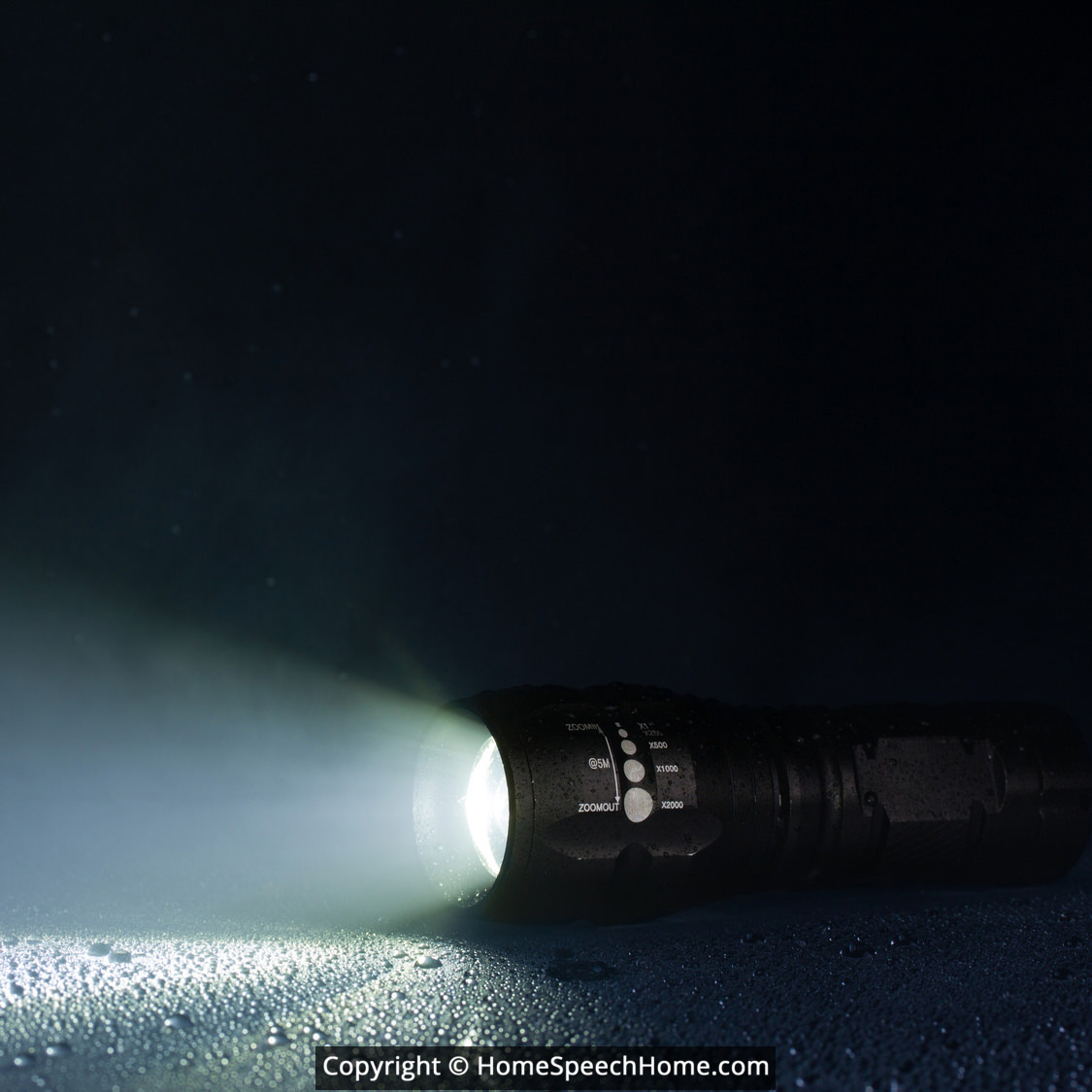 SH Word Flashcard Perfect for Speech Therapy Practice