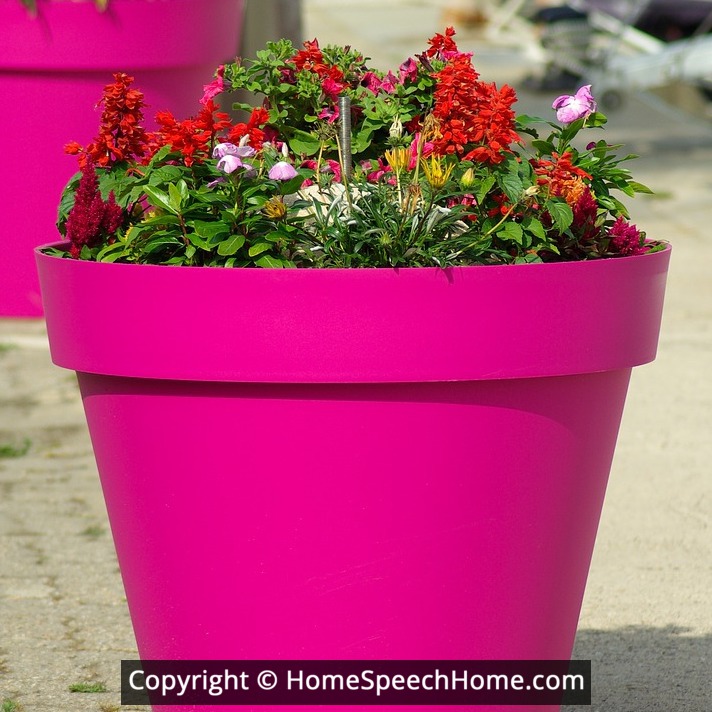 L Word Flashcard Perfect for Speech Therapy Practice