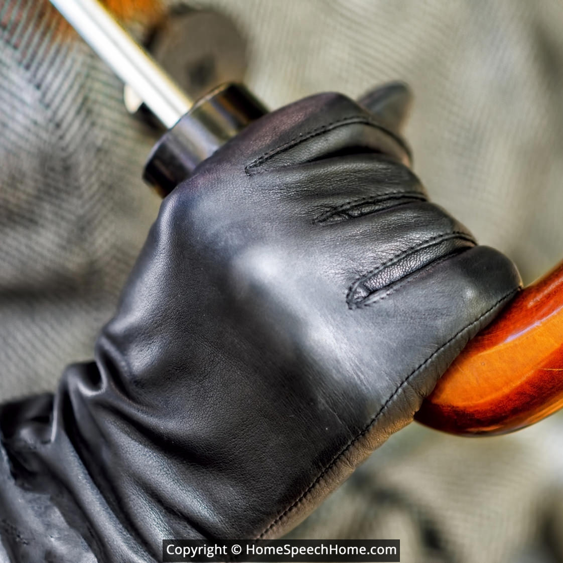 L Word Flashcard Perfect for Speech Therapy Practice Description