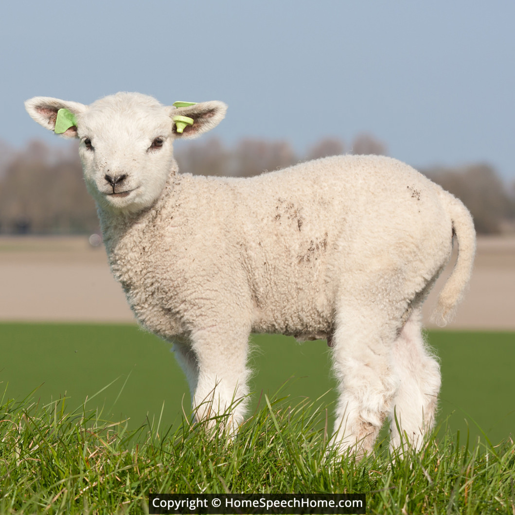 L Word Flashcard Perfect for Speech Therapy Practice Description