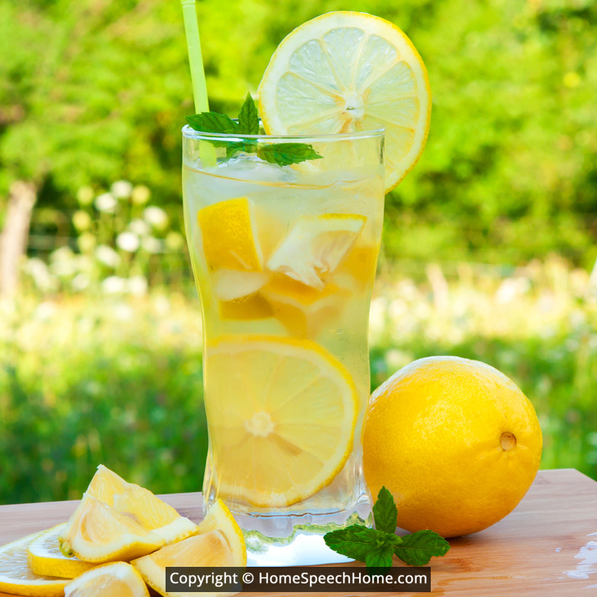 L Word Flashcard Perfect for Speech Therapy Practice Description