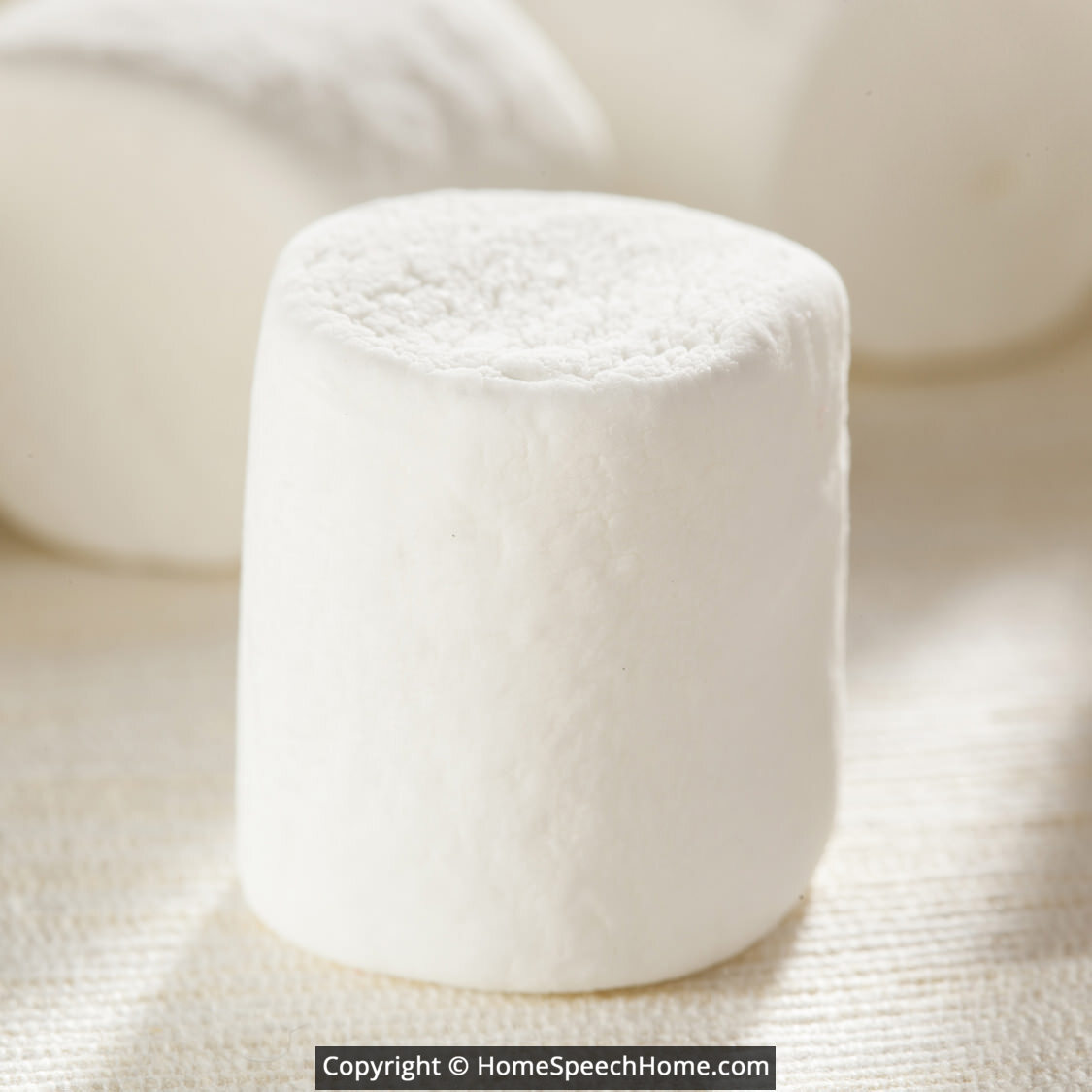 L Word Flashcard Perfect for Speech Therapy Practice Description