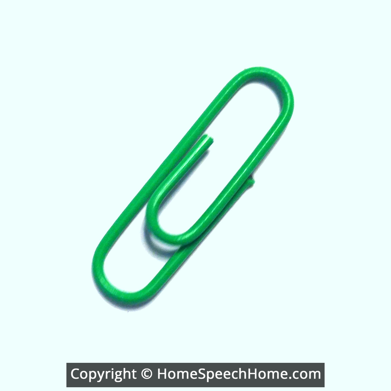 L Word Flashcard Perfect for Speech Therapy Practice Description