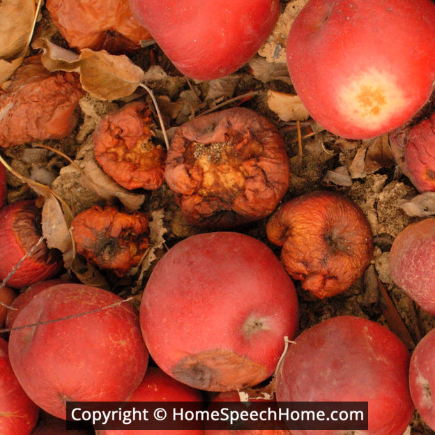 L Word Flashcard Perfect for Speech Therapy Practice