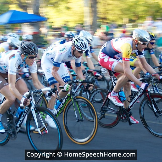 SH Word Flashcard Perfect for Speech Therapy Practice