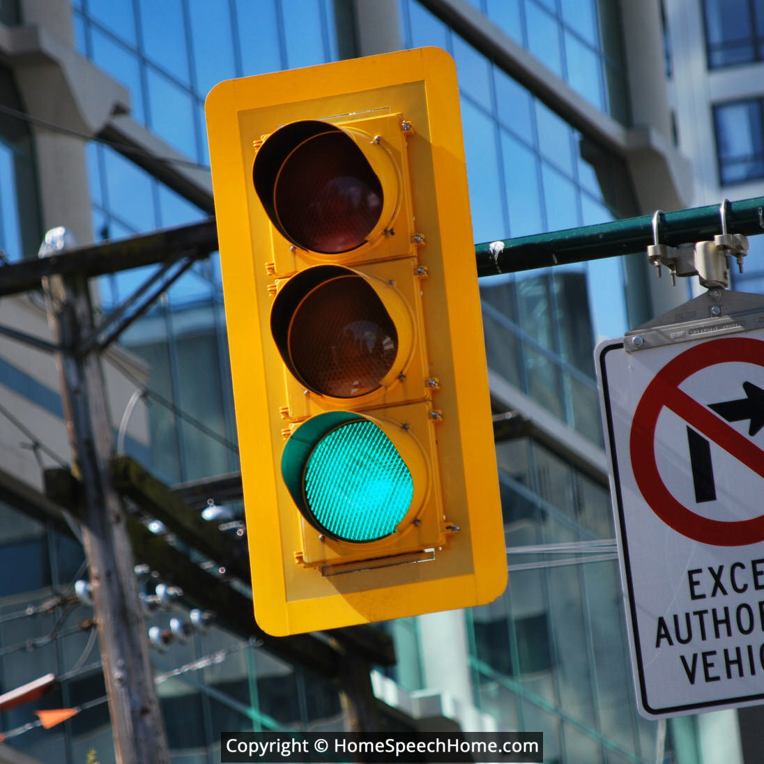 L Word Flashcard Perfect for Speech Therapy Practice