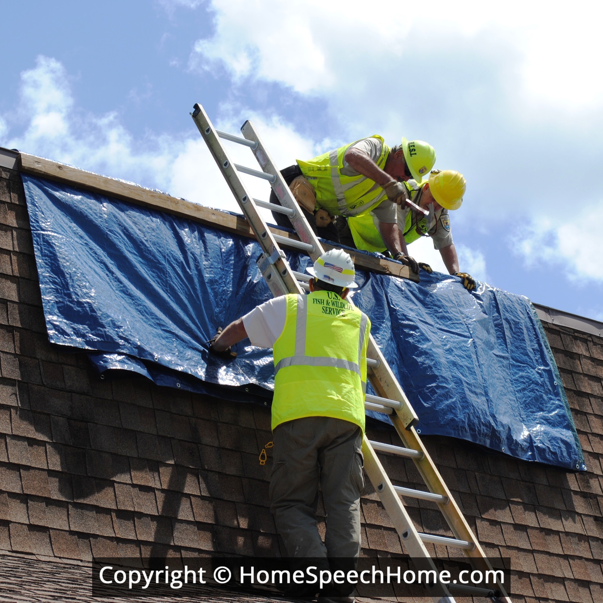 Vocalic R Word Flashcard Perfect for Speech Therapy Practice