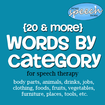 20+ Categories for Speech Therapy Practice