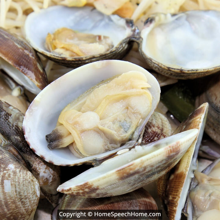 L Word Flashcard Perfect for Speech Therapy Practice Description