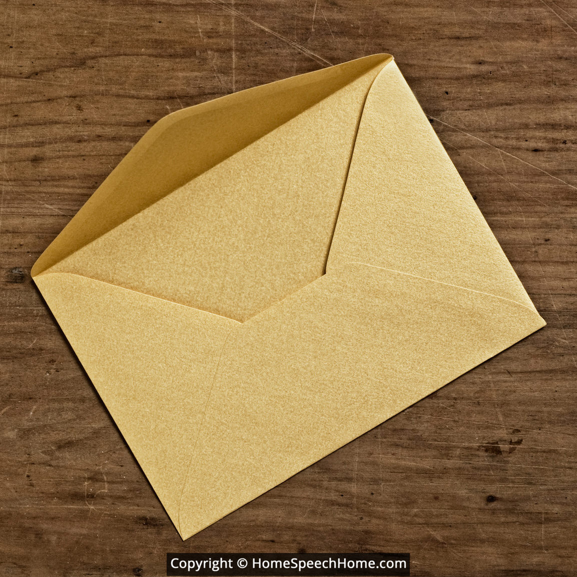 L Word Flashcard Perfect for Speech Therapy Practice Description