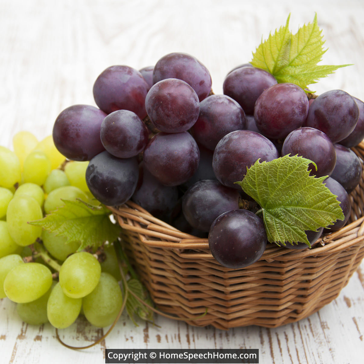 R Word Flashcard Perfect for Speech Therapy Practice