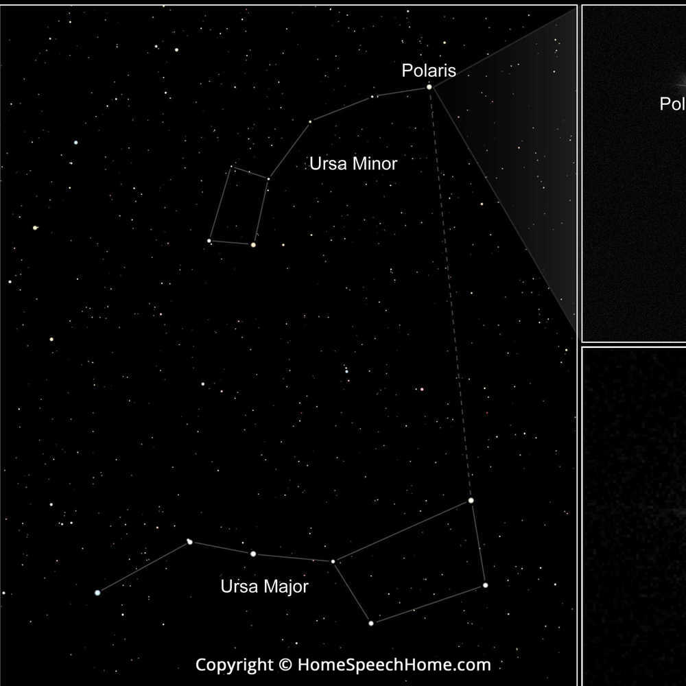 L Word Flashcard Perfect for Speech Therapy Practice Description