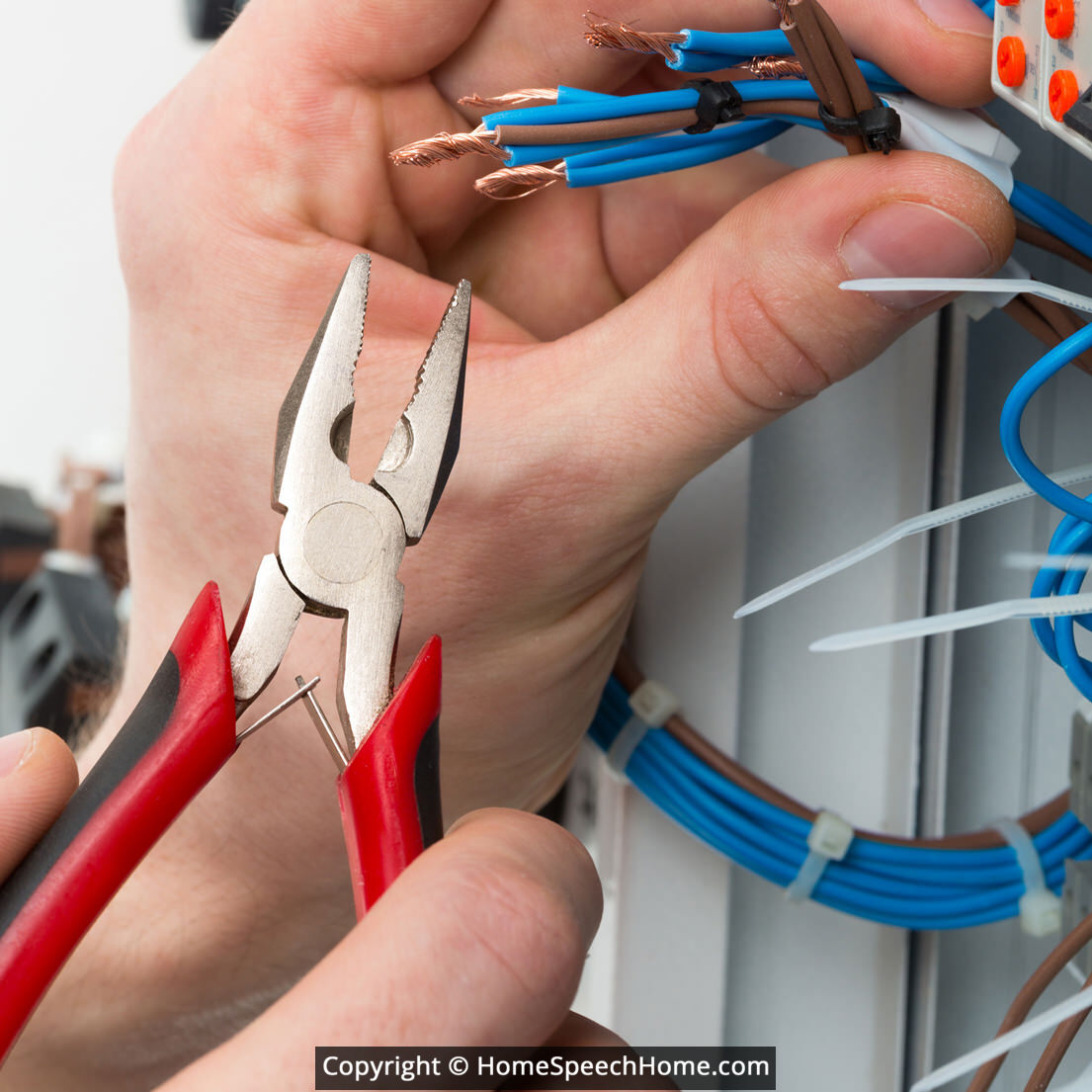 Vocalic R Word Flashcard Perfect for Speech Therapy Practice