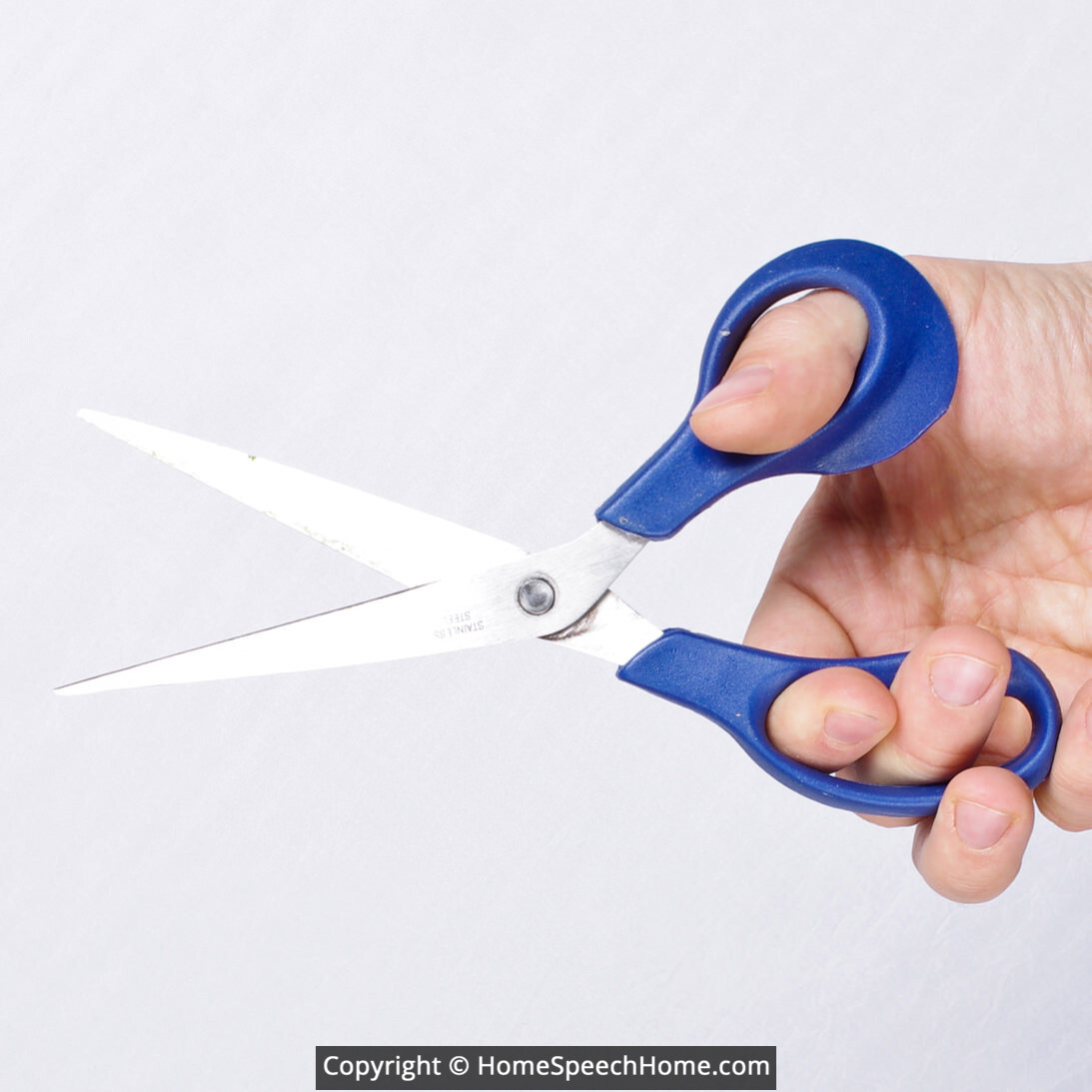 R Word Flashcard Perfect for Speech Therapy Practice